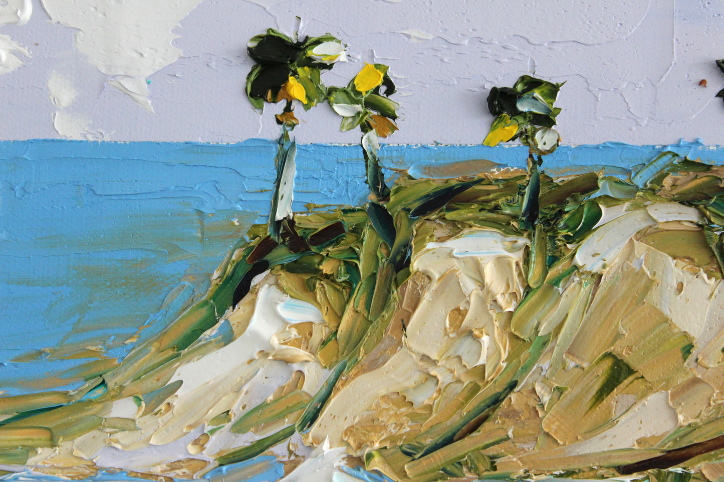 Sun, Sand, And Shakes