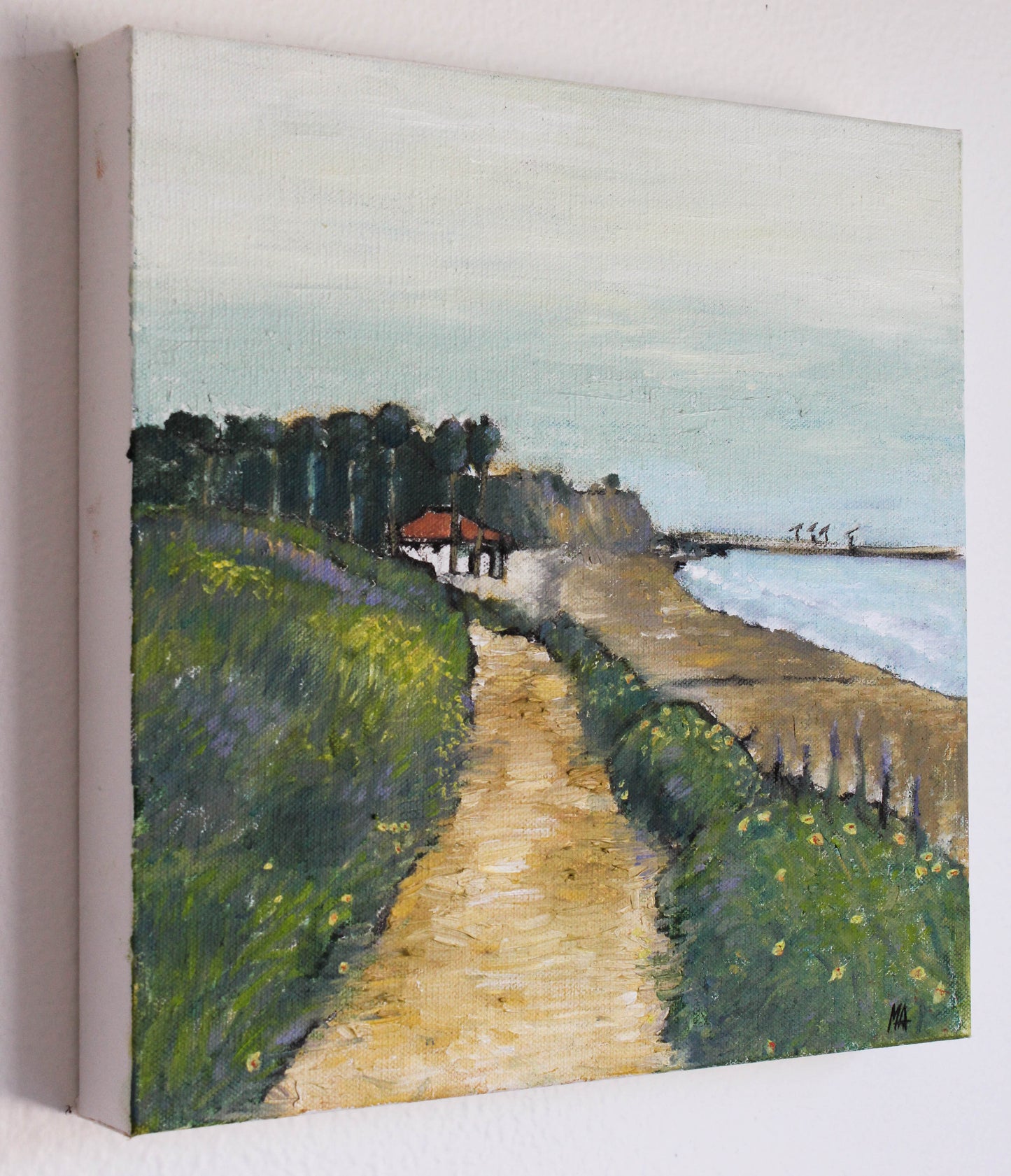 Santa Barbara coast 1