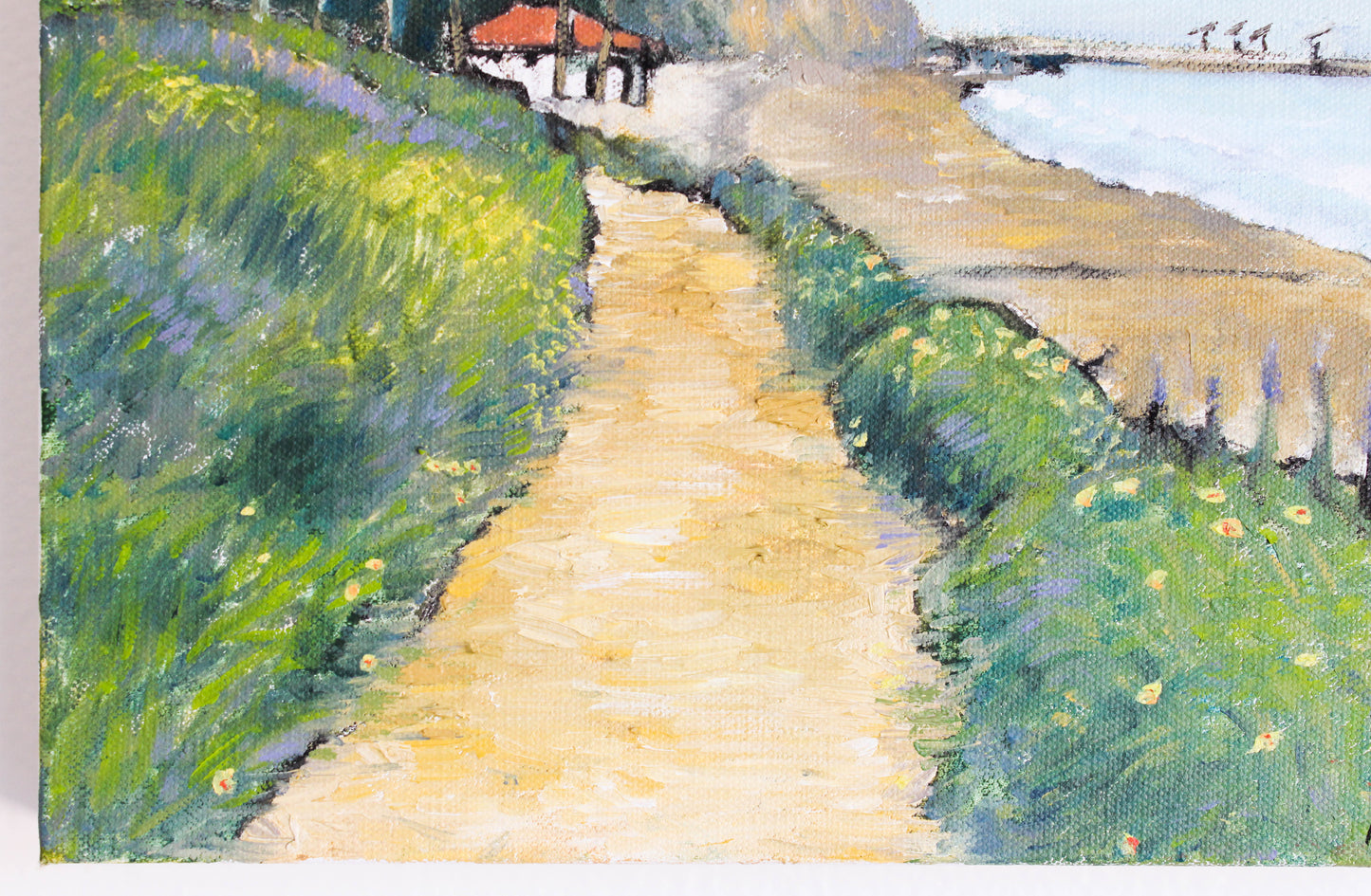 Santa Barbara coast 1