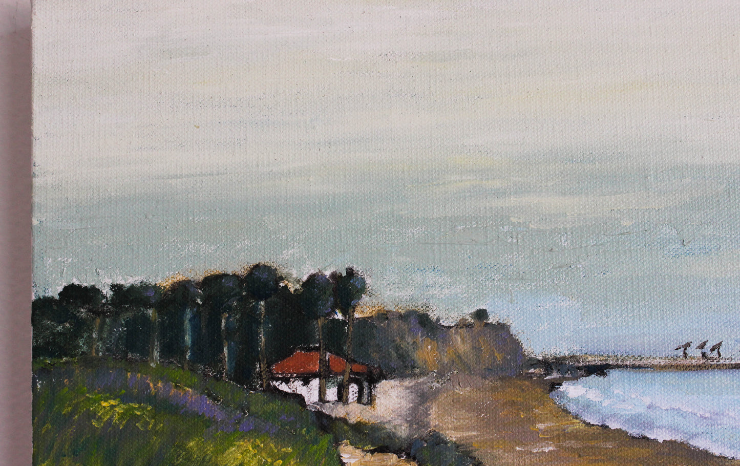 Santa Barbara coast 1