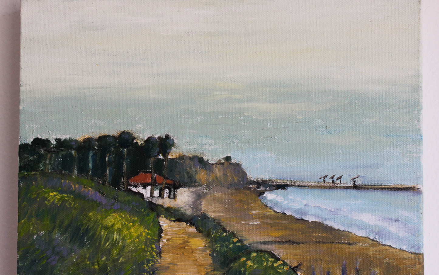 Santa Barbara coast 1