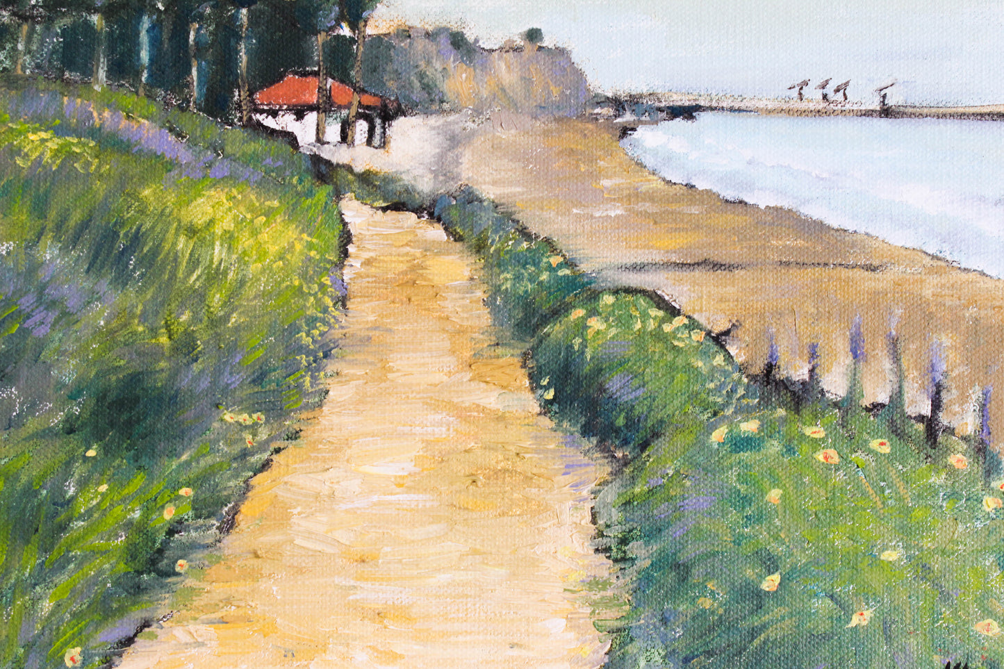 Santa Barbara coast 1