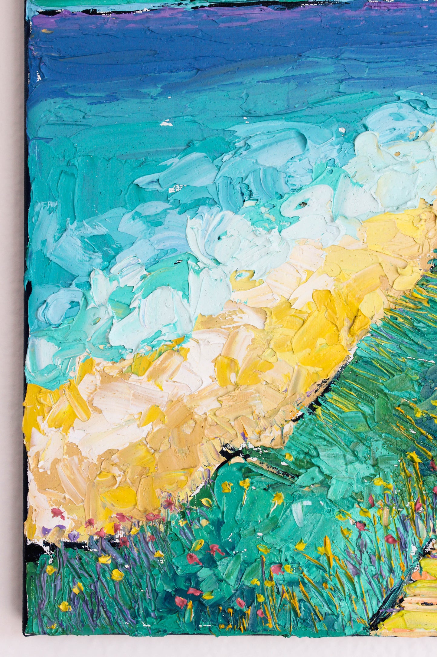 Crystal Cove coast 1