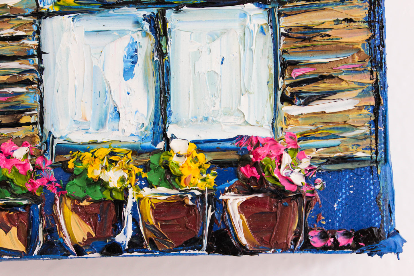 Window with flower pots