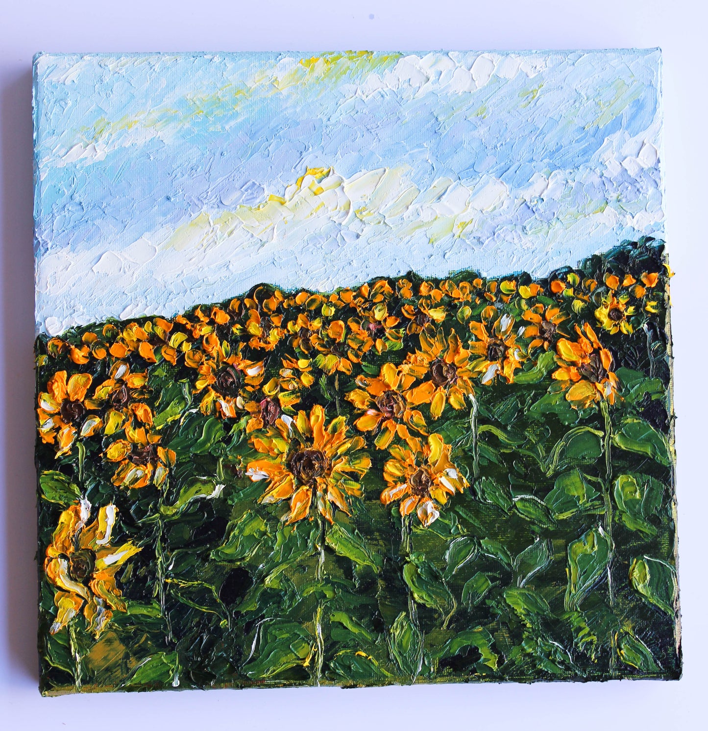 Sunflower Field